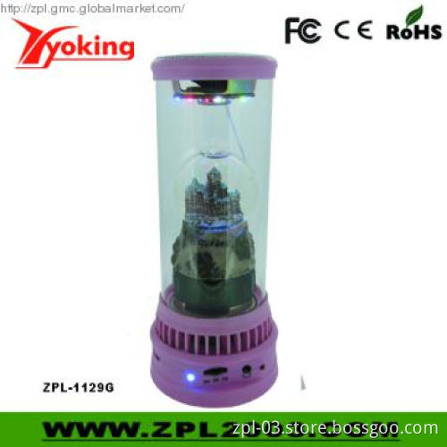 MP3 Player, Portable Speaker for Christmas Gifts(ZPL-1129G)